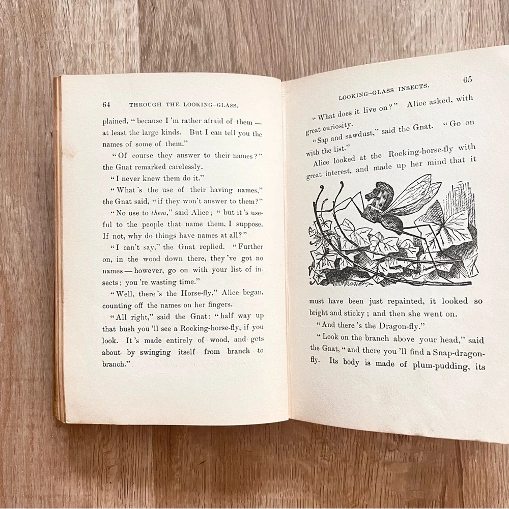 Antique Book 1919, Through The Looking‎ Glass and What Alice Found There